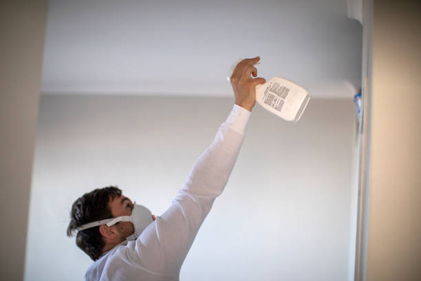 Best Post-Remediation Services in Collinsville, TX
