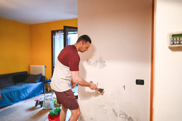 Best Kitchen Mold Remediation in Collinsville, TX
